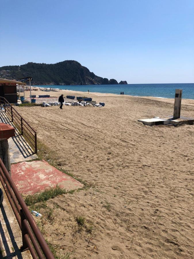 Cleopatra Sultan Residence Alanya Kültér fotó